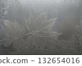 Metallic leaf pattern — delicate engraved texture 132654016