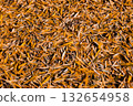 Close-up of dry autumn leaves covering the ground. Natural texture background symbolizing fall, change, and the beauty of seasonal transition 132654958