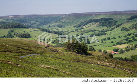 Scenic view of green valley in North York Moors National Park, UK 132655107