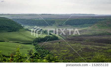 Green valley and hills composing the landscape of North York Moors National Park in United Kingdom 132655110