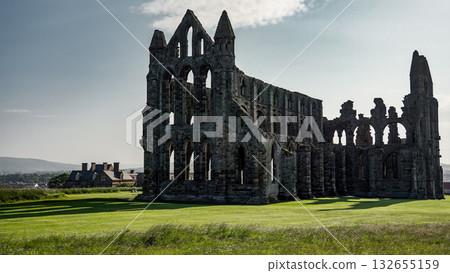 Whitby Abbey rising over green meadow in North York Moors National Park Whitby Abbey rising over green meadow in North York Moors National Park 132655159