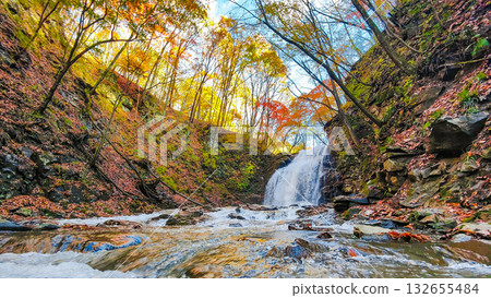 淺間瀑布（秋季） 132655484