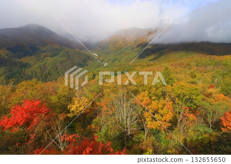Hakuba Mountain Harbor in autumn (Hakuba Village, Nagano Prefecture) Hakuba Mountain Harbor in autumn (Hakuba Village, Nagano Prefecture) 132655650