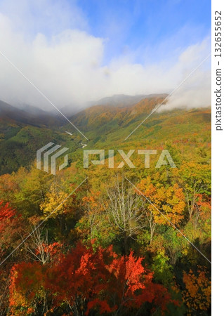 秋季的白馬山港（長野縣白馬村，豎幅構圖） 132655652