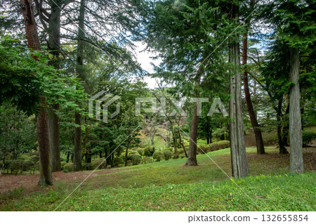 Hachimanyama Park in Utsunomiya City, Tochigi Prefecture 132655854
