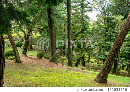 Hachimanyama Park in Utsunomiya City, Tochigi Prefecture 132655856
