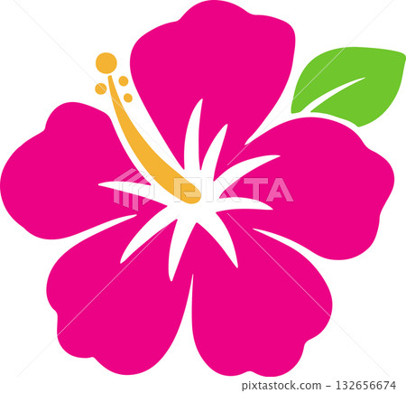 Hibiscus Hibiscus 132656674