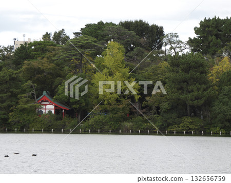 水邊森林中掩映著一座紅色神社:池塘與蔥綠植構成了一幅寧靜的景象。 水邊森林中掩映著一座紅色神社:池塘與蔥綠植構成了一幅寧靜的景象。 132656759