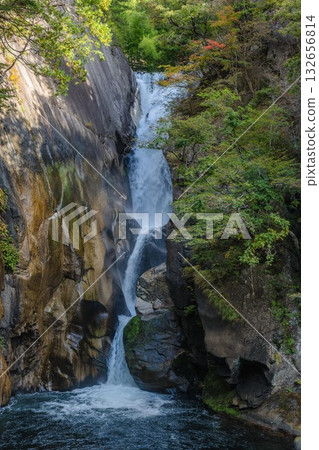 Shinkyō峽谷在深秋 132656814