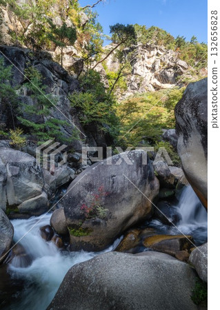 Shinkyō峽谷在深秋 132656828