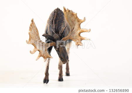 reindeer animal on isolated background 132656890