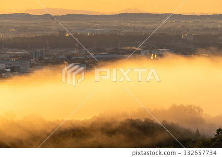 神奈川縣：晨霧中的城市景觀 132657734