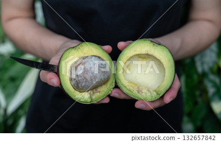 Cropped shot view of someone holding half of Avocado fruit. Avocado known for its heart-healthy monounsaturated fats, high fiber content, and rich, buttery texture. 132657842