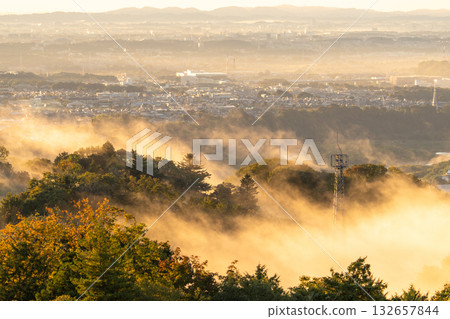 Kanagawa Prefecture: Cityscape in the morning mist 132657844