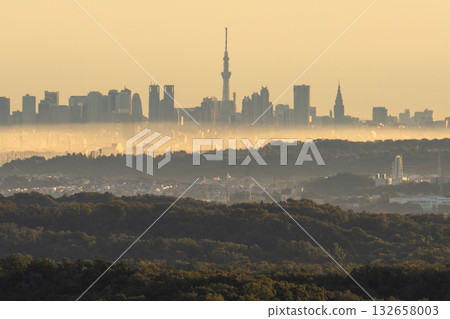 Tokyo: Cityscape in the morning mist Tokyo: Cityscape in the morning mist 132658003