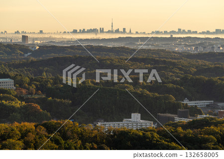 東京：晨霧中的城市景觀 132658005