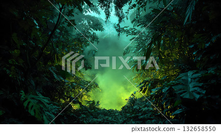 神祕的叢林景觀 神祕的叢林景觀 132658550