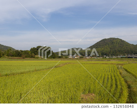 A rural mountain with autumn scenery 132658848