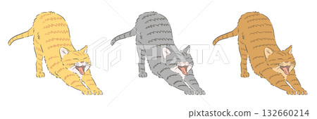 A set of illustrations of stretching tabby cats (brown tabby, mackerel tabby, and calico tabby) 132660214