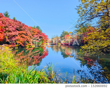 Kumoba Pond (Autumn) 132660892