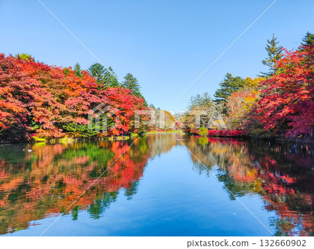 熊場池（秋季） 132660902