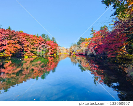 熊場池（秋季） 132660907