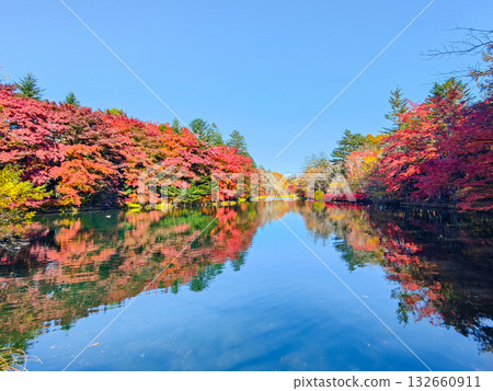 Kumoba Pond (Autumn) 132660911