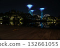 nighttime Supertree Grove Gardens by the Bay blue fountain glowing lights 132661055