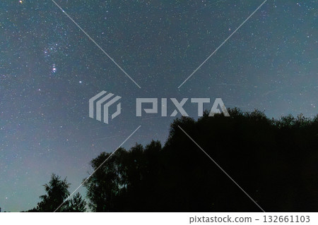 Night sky full of stars above dark forest silhouette in autumn Night sky full of stars above dark forest silhouette in autumn 132661103