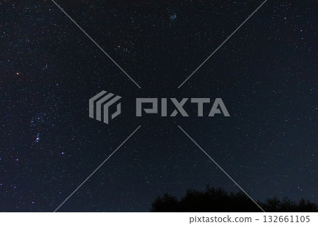 Starry Night Sky with Constellation of Orion and Tree Silhouette on Horizon Starry Night Sky with Constellation of Orion and Tree Silhouette on Horizon 132661105