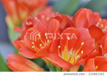 Kunsiran Kunsiran 132661381