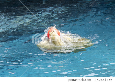 游泳北極熊 游泳北極熊 132661436