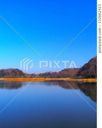 21世紀森林廣場公園景觀,池塘和森林點綴其間,展現了早春的景象。 21世紀森林廣場公園景觀,池塘和森林點綴其間,展現了早春的景象。 132662423