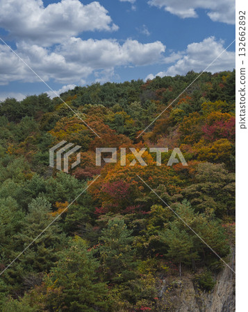 Autumn leaves of Abubukuma-dong 132662892