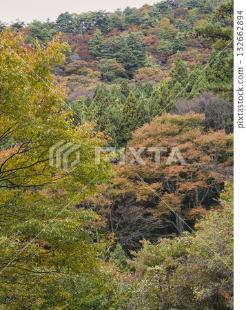 Autumn leaves of Abubukuma-dong Autumn leaves of Abubukuma-dong 132662894