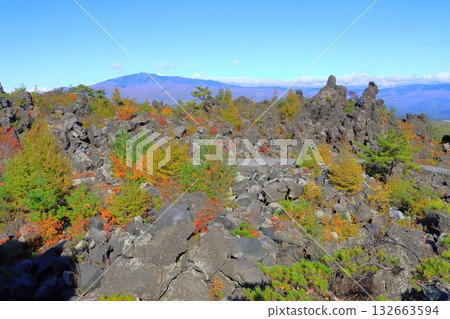 秋日鬼押出公園(從群馬縣妻戀村淺間山觀音堂出發) 秋日鬼押出公園(從群馬縣妻戀村淺間山觀音堂出發) 132663594