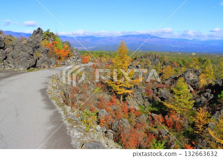 秋天的鬼押出公園（群馬縣嬬戀村） 132663632