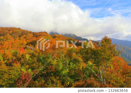 秋季的八海山（新潟縣南魚沼市纜車山頂站附近） 132663656