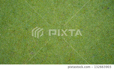 Green grass background, top view background of garden bright grass concept used for making green backdrop Green grass background, top view background of garden bright grass concept used for making green backdrop 132663903