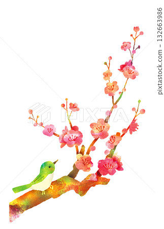 梅花與日本鶯－日本新年賀卡插圖 132663986