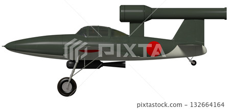 Plum blossoms 132664164