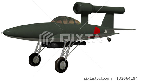 Plum blossoms 132664184