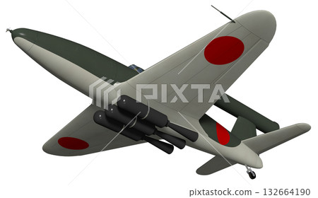 Plum blossoms 132664190