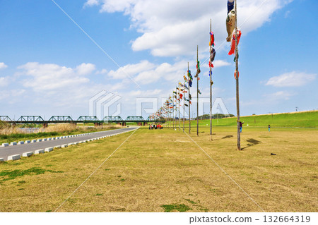 在福岡縣仲間市翁加川岸邊，懸掛著許多鯉魚釣魚用的彩旗。 132664319