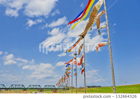 Many carp streamers hoisted on the banks of the Onga River in Nakama City, Fukuoka Prefecture Many carp streamers hoisted on the banks of the Onga River in Nakama City, Fukuoka Prefecture 132664326
