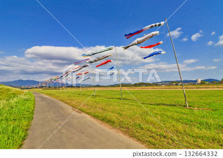 Many carp streamers hoisted on the banks of the Onga River in Iizuka City, Fukuoka Prefecture 132664332