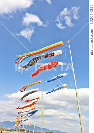 Many carp streamers hoisted on the banks of the Onga River in Iizuka City, Fukuoka Prefecture 132664333