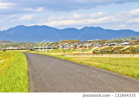 Many carp streamers hoisted on the banks of the Onga River in Iizuka City, Fukuoka Prefecture 132664335