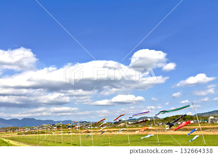 Many carp streamers hoisted on the banks of the Onga River in Meo, Iizuka City 132664338