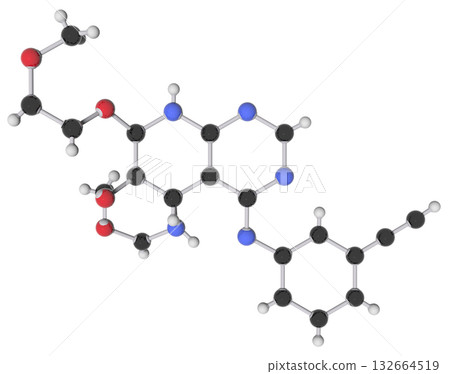 厄洛替尼 132664519
